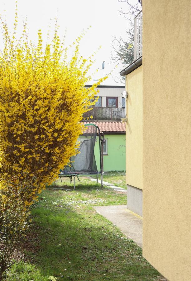 Small-Comfy Guest House In Donaustadt Garden - Not Shared! Wina Bagian luar foto